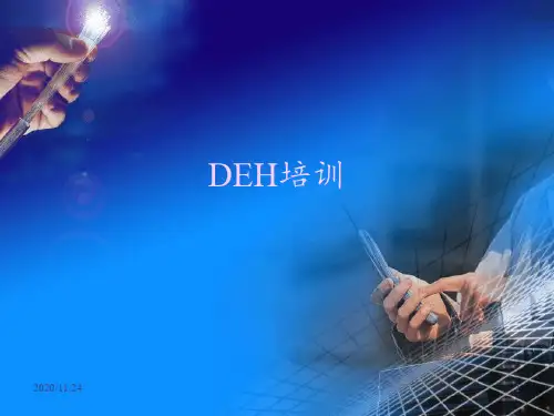 DEH培训完全 ppt课件