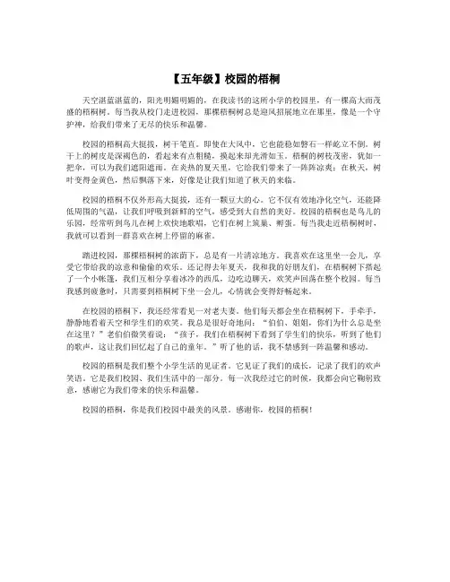 【五年级】校园的梧桐