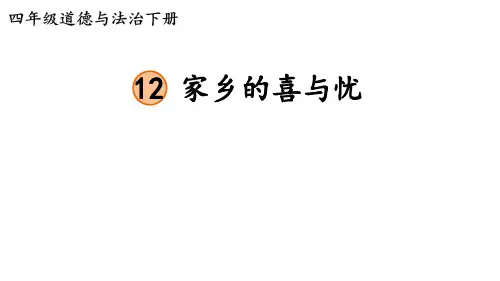 部编版四年级道德与法治下册--12 家乡的喜与忧(课件)