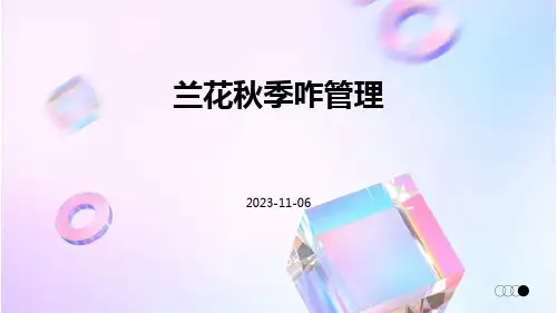 兰花秋季咋管理