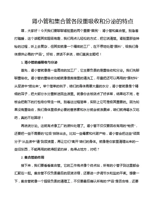 肾小管和集合管各段重吸收和分泌的特点