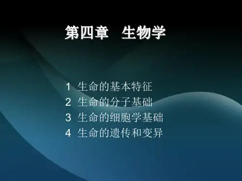 生物学基础幻灯片PPT课件