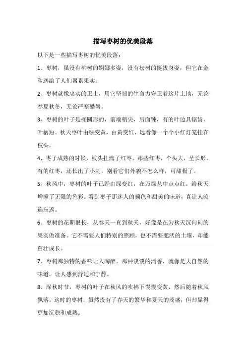 描写枣树的优美段落