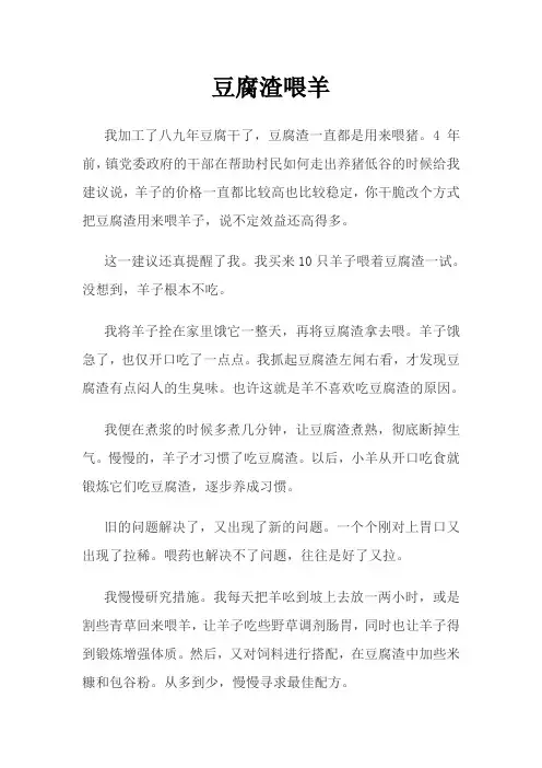 豆腐渣喂羊