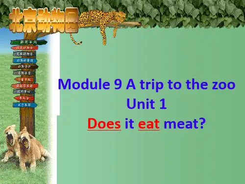 七年级英语上册 Module 6 A trip to the zoo Unit 1 Does it eat meat课件1 (新版)外研版