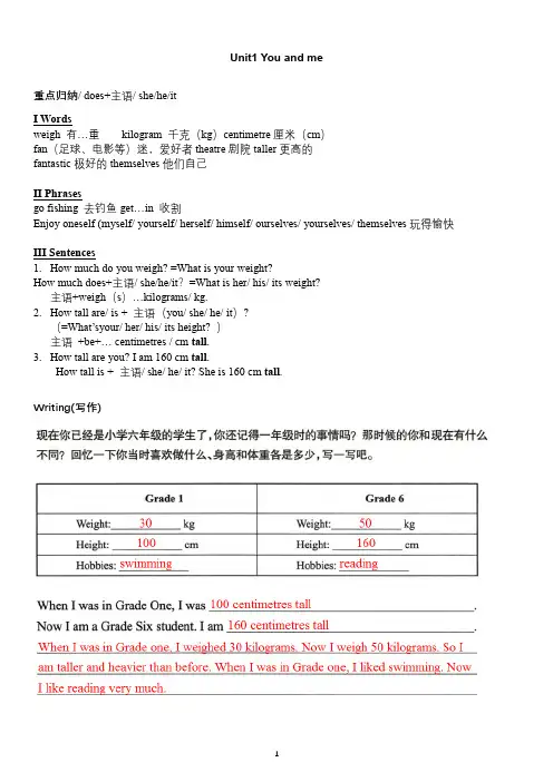 牛津英语六年级下册复习总结——整理新