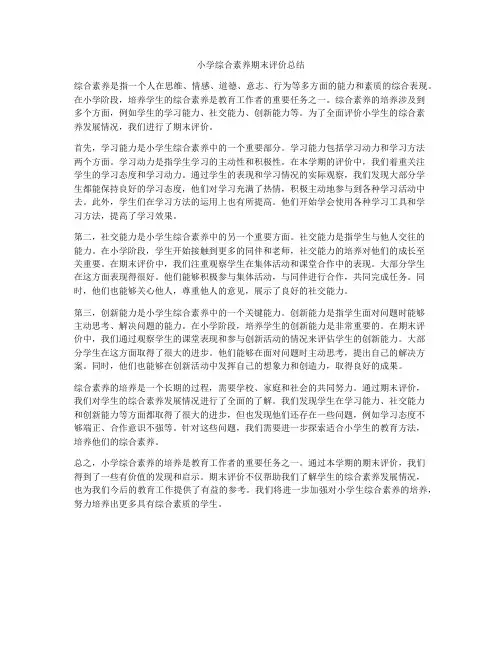 小学综合素养期末评价总结