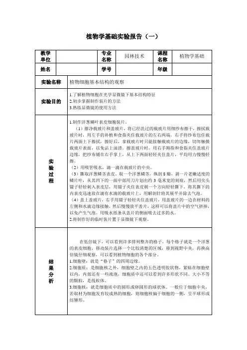 《植物学基础》实验报告