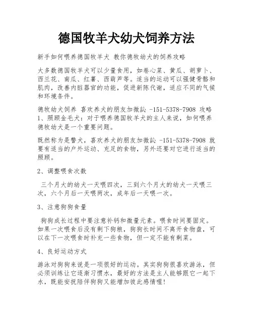 德国牧羊犬幼犬饲养方法