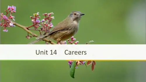 2018-2019学年高一英语北师大必修5新导学同步通用版课件：Unit 14 Period Three