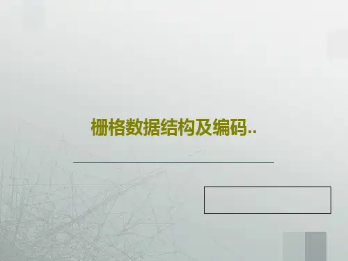 栅格数据结构及编码..共33页文档