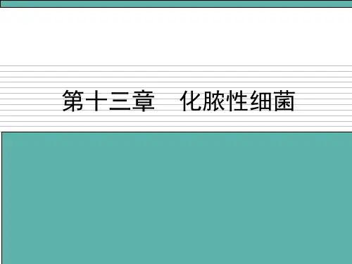 化脓性细菌