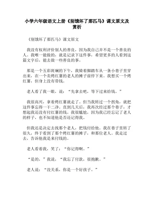 小学六年级语文上册《别饿坏了那匹马》课文原文及赏析