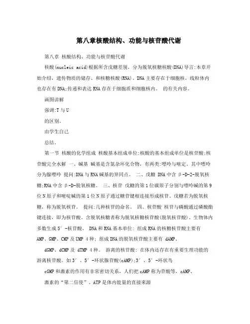 核酸结构功能与核苷酸代谢