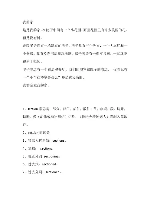 sectionc翻译为中文