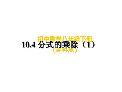 苏科版八年级数学下册10.4分式的乘除(1)