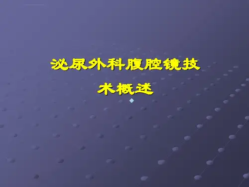 泌尿外科腹腔镜概述ppt课件