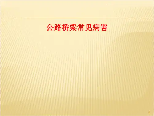 公路桥梁常见病害ppt课件