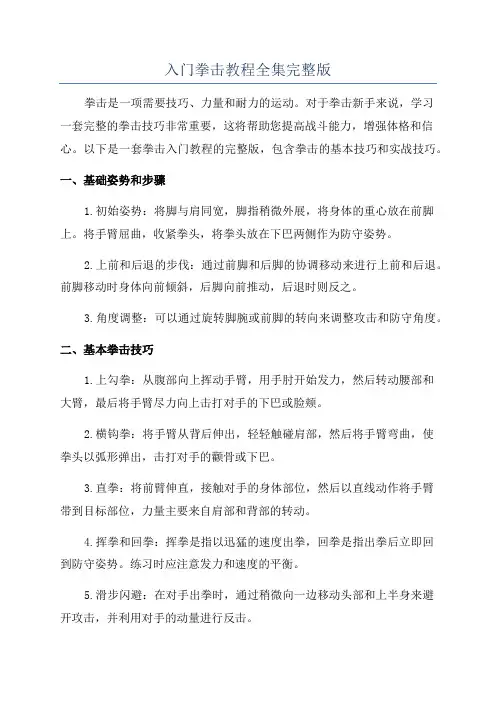 入门拳击教程全集完整版