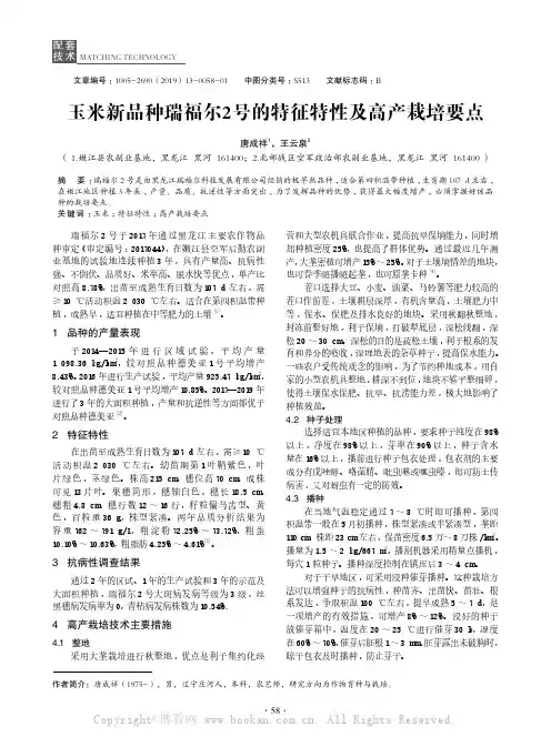 玉米新品种瑞福尔2号的特征特性及高产栽培要点