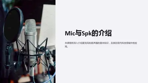 《Mic与Spk的介绍》课件