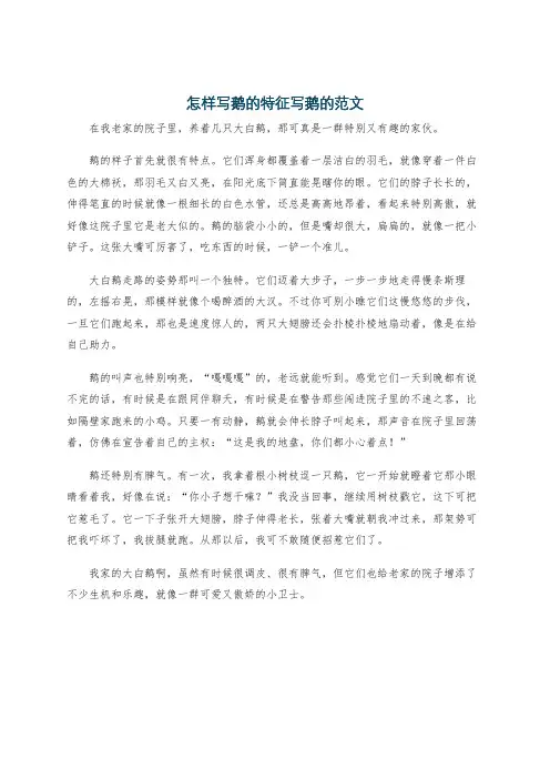 怎样写鹅的特征写鹅的范文