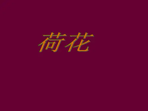 最新苏教版三年级下语文 -荷花_课件