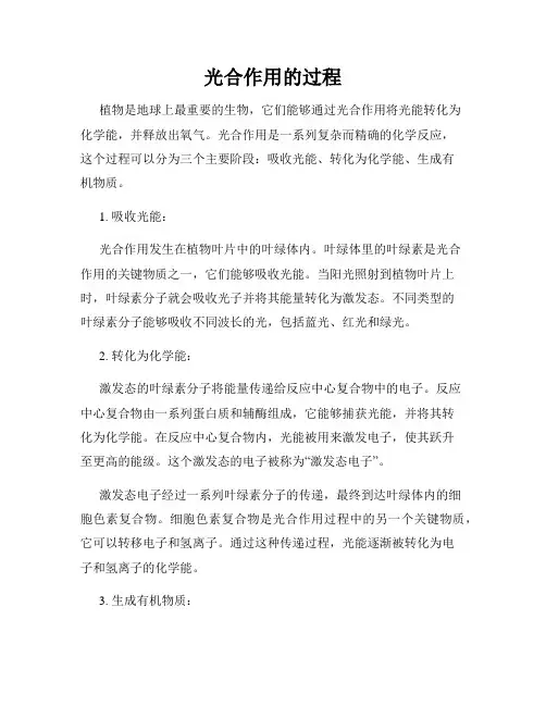 光合作用的过程
