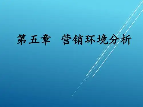 营销策划第5章  营销环境分析