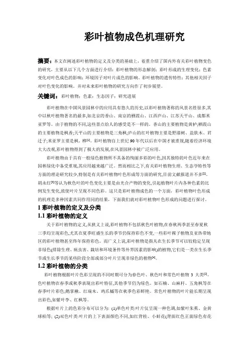 彩叶植物研究