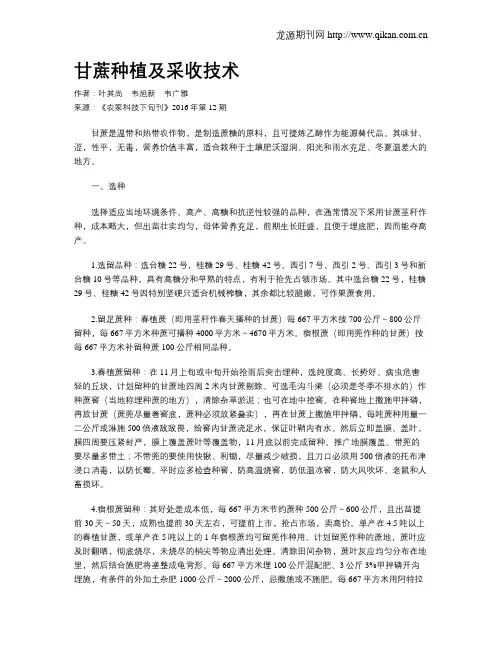 甘蔗种植及采收技术