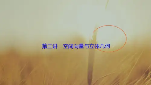 2018届高三数学理高考二轮复习书讲解课件第一部分 专题四 第三讲 空间向量与立体几何 精品