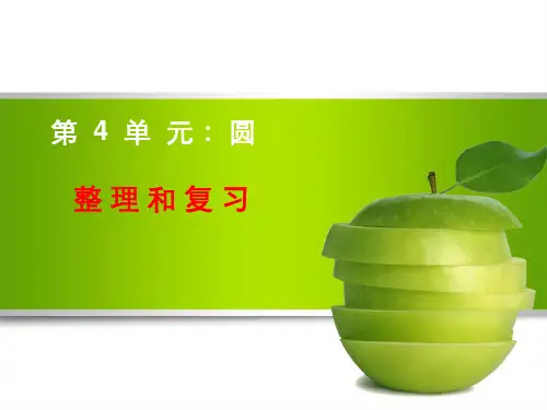 六年级上册圆整理和复习课件