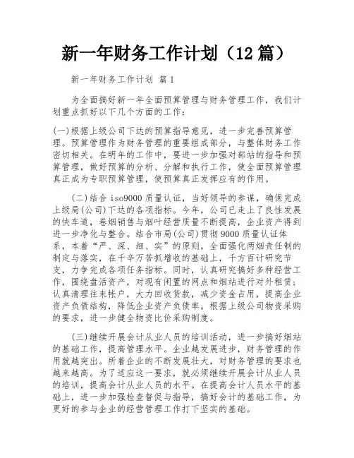 新一年财务工作计划(12篇)