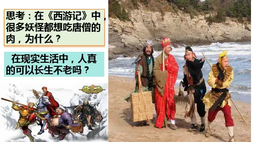 8.1 生命可以永恒吗 课件(25张PPT)