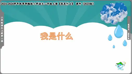 《我是什么》课件(共24张PPT)