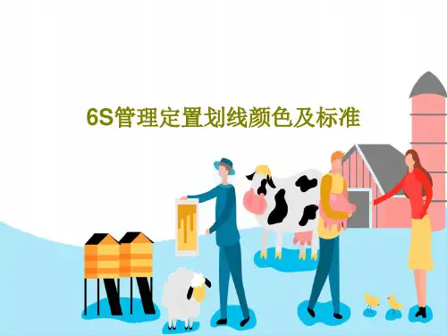 6S管理定置划线颜色及标准共20页