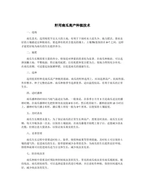 籽用南瓜高产种植技术