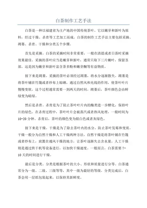 白茶制作工艺手法