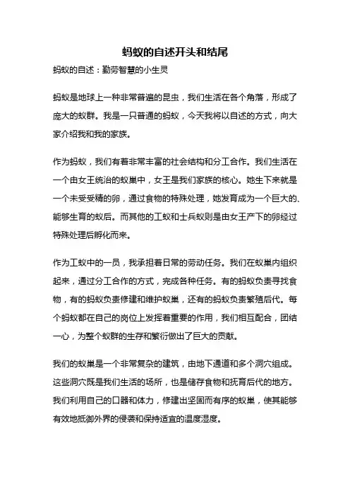 蚂蚁的自述开头和结尾