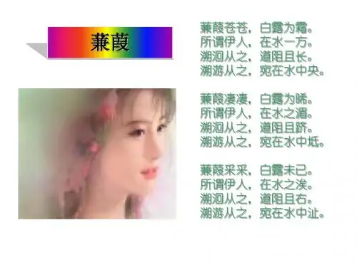 诗经三首 PPT课件 19 人教版