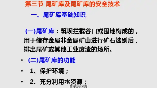 尾矿库安全技术PPT课件