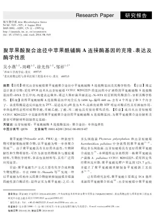 聚苹果酸聚合途径中苹果酰辅酶A连接酶基因的克隆、表达及酶学性质