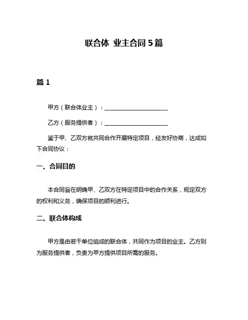 联合体 业主合同5篇