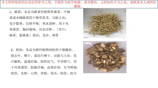 中药饮片图鉴基础知识培训课件