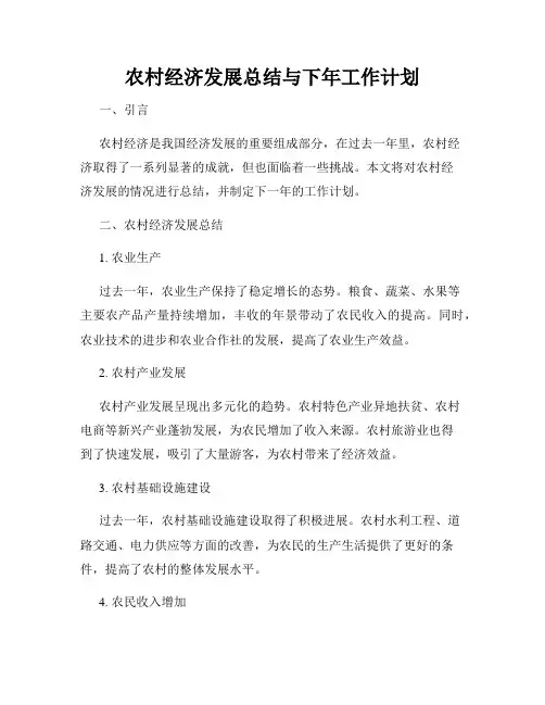 农村经济发展总结与下年工作计划