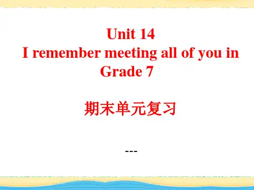 人教新目标版英语九年级Unit 14《I remember meeting all of you i