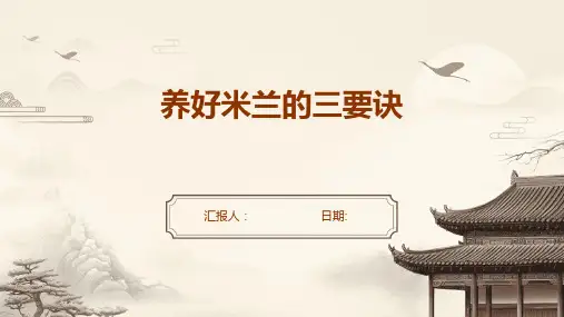 养好米兰的三要诀