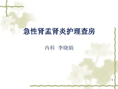 急性肾盂肾炎护理查房演示幻灯片