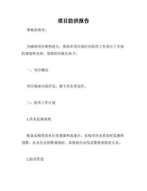 项目防洪报告